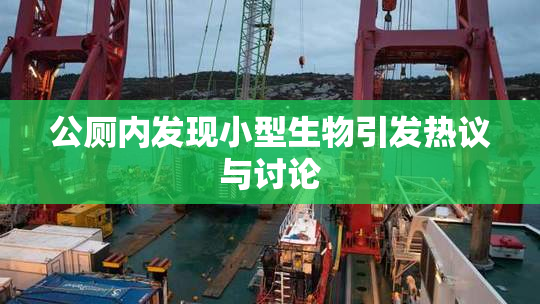 公厕内发现小型生物引发热议与讨论