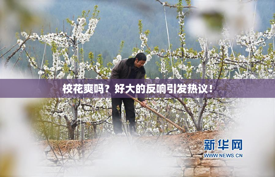 校花爽吗？好大的反响引发热议！
