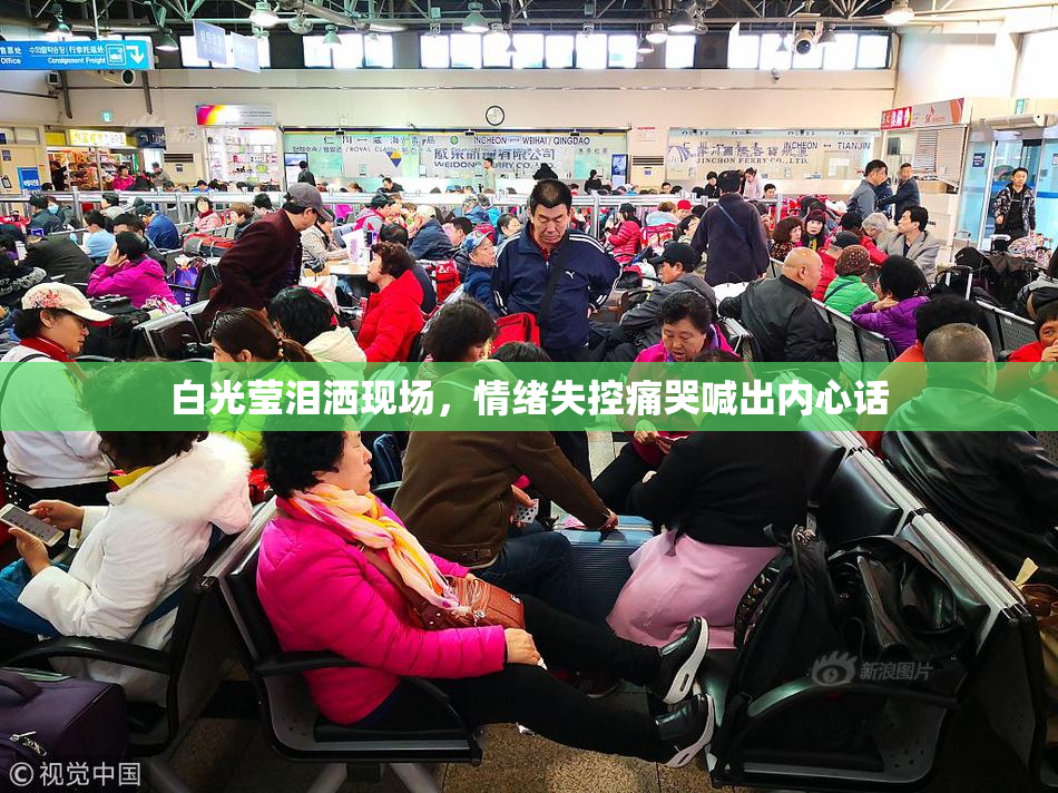白光莹泪洒现场，情绪失控痛哭喊出内心话