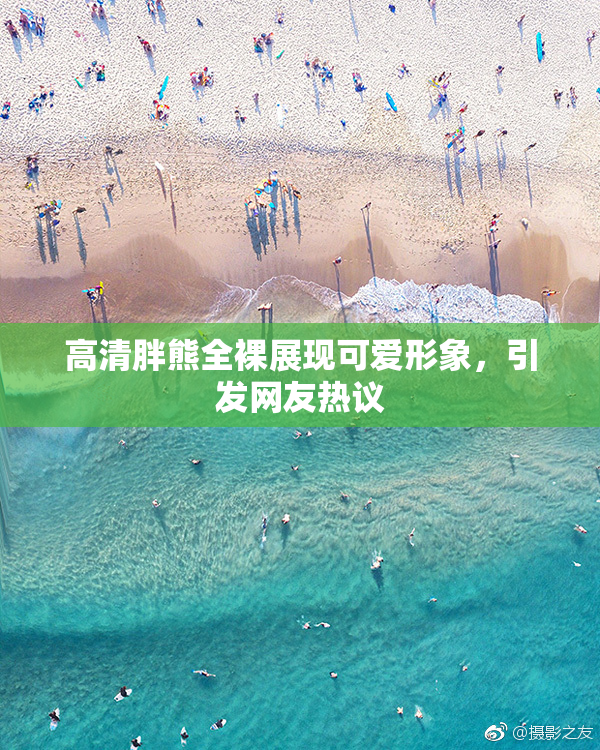 高清胖熊全裸展现可爱形象，引发网友热议