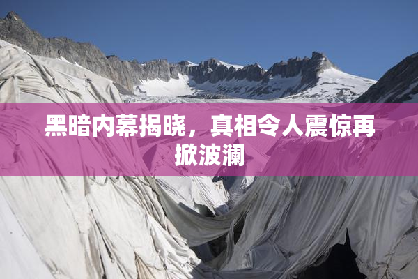 黑暗内幕揭晓，真相令人震惊再掀波澜