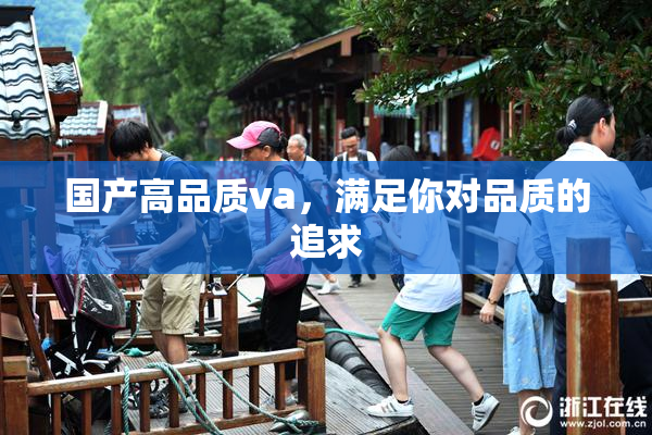 国产高品质va，满足你对品质的追求