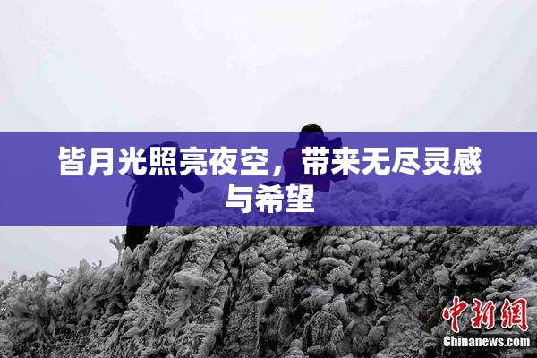 皆月光照亮夜空，带来无尽灵感与希望
