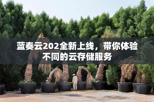蓝奏云202全新上线，带你体验不同的云存储服务