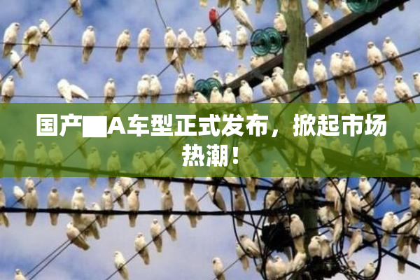 国产▇A车型正式发布，掀起市场热潮！
