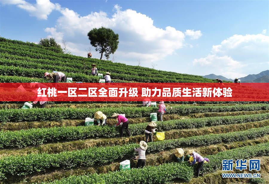 红桃一区二区全面升级 助力品质生活新体验