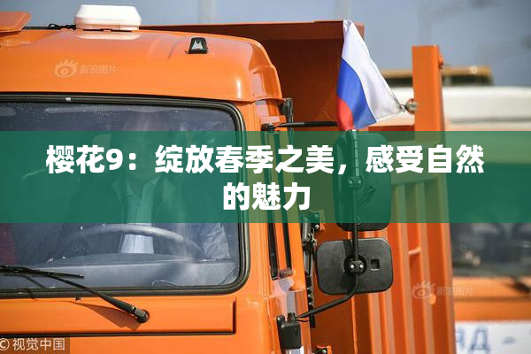 樱花9：绽放春季之美，感受自然的魅力