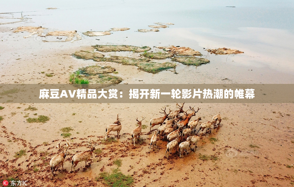 麻豆AV精品大赏：揭开新一轮影片热潮的帷幕