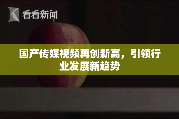 国产传媒视频再创新高，引领行业发展新趋势