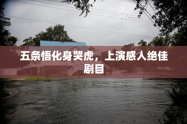 五条悟化身哭虎，上演感人绝佳剧目