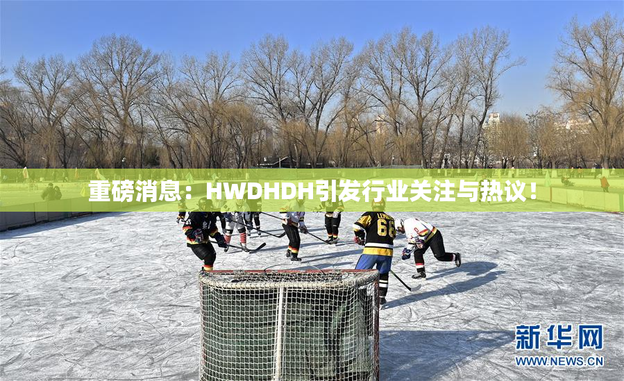 重磅消息：HWDHDH引发行业关注与热议！