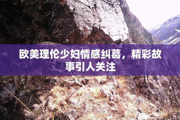 欧美理伦少妇情感纠葛，精彩故事引人关注