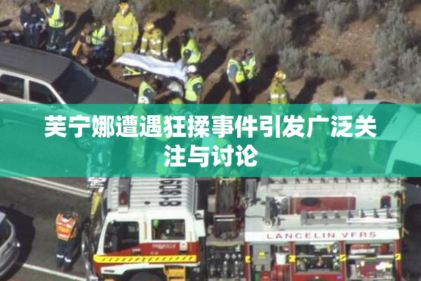 芙宁娜遭遇狂揉事件引发广泛关注与讨论