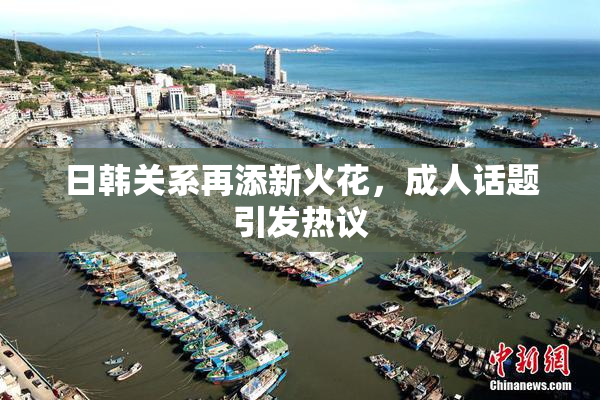 日韩关系再添新火花，成人话题引发热议
