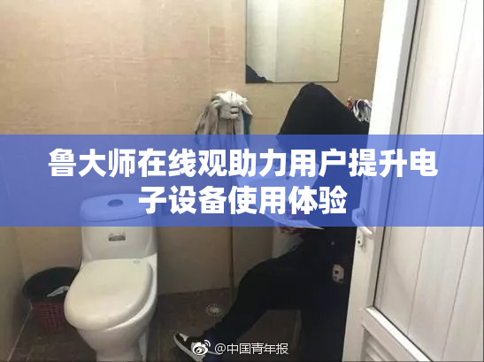 鲁大师在线观助力用户提升电子设备使用体验