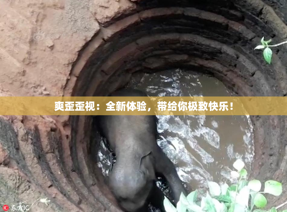 爽歪歪视：全新体验，带给你极致快乐！