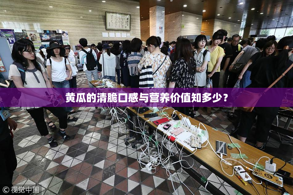 黄瓜的清脆口感与营养价值知多少？