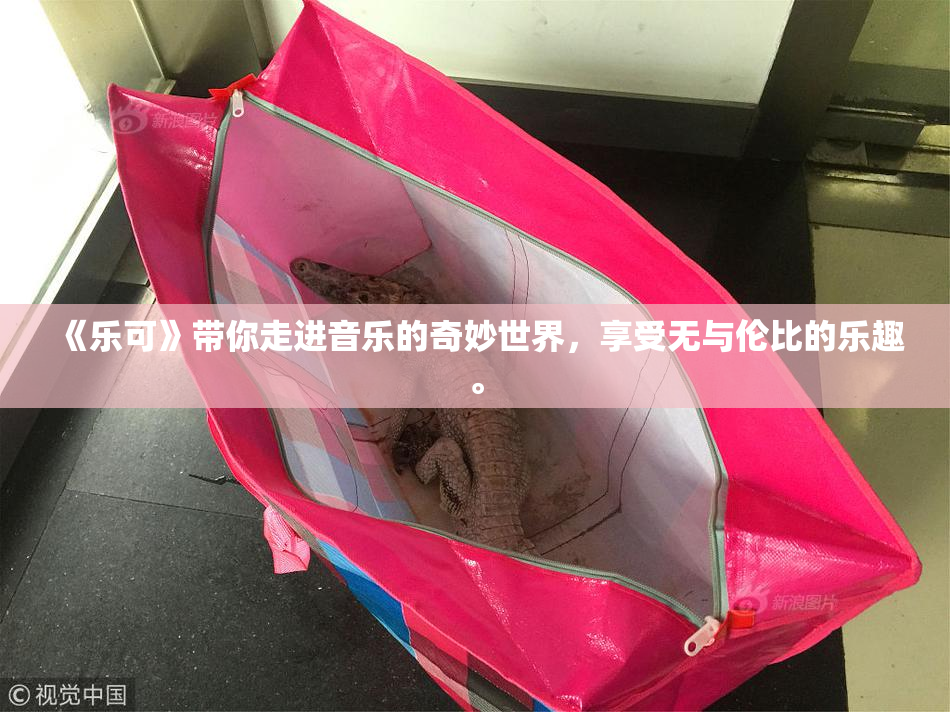 《乐可》带你走进音乐的奇妙世界，享受无与伦比的乐趣。
