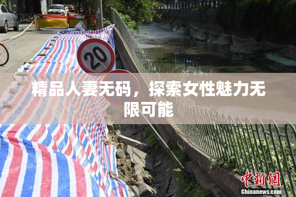 精品人妻无码，探索女性魅力无限可能