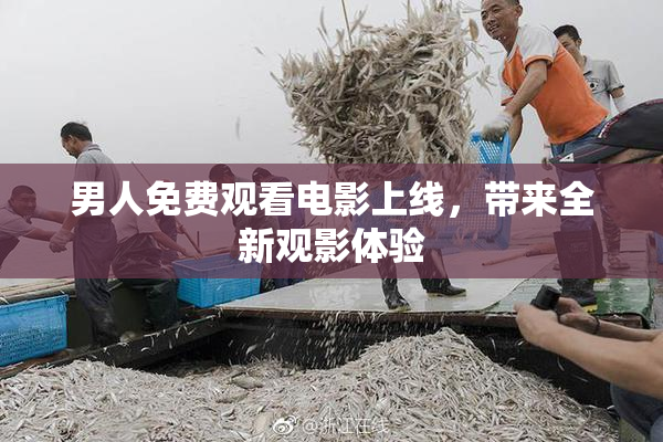男人免费观看电影上线，带来全新观影体验