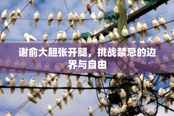 谢俞大胆张开腿，挑战禁忌的边界与自由