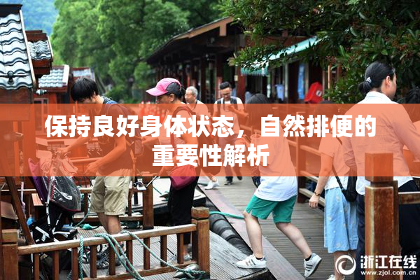 保持良好身体状态，自然排便的重要性解析