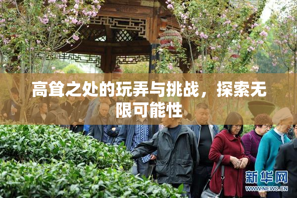 高耸之处的玩弄与挑战，探索无限可能性