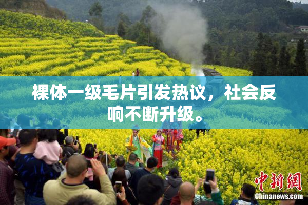 裸体一级毛片引发热议，社会反响不断升级。