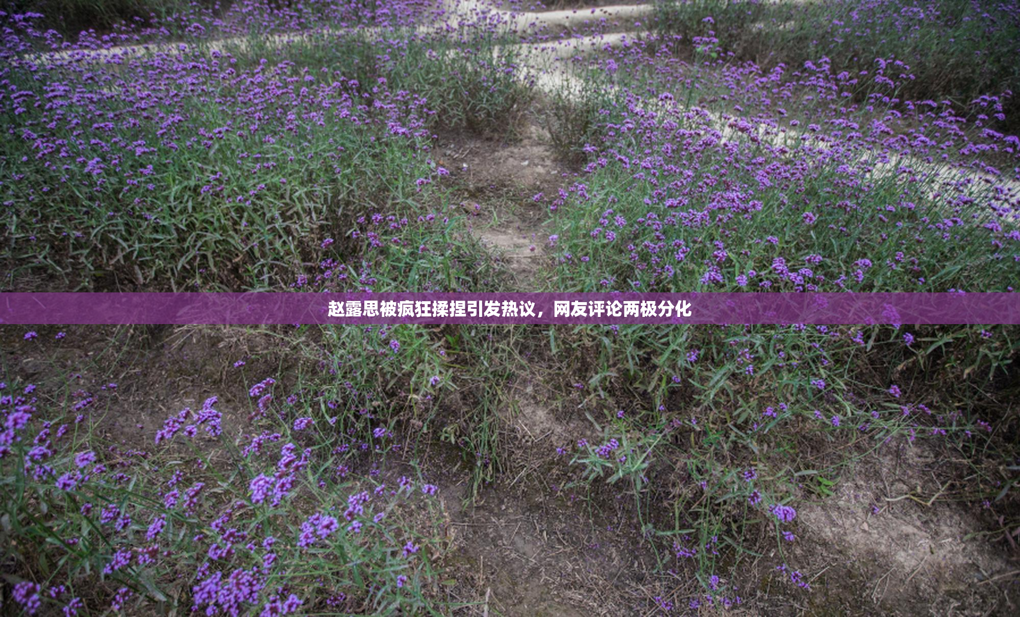 赵露思被疯狂揉捏引发热议，网友评论两极分化