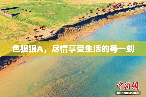 色狠狠A，尽情享受生活的每一刻