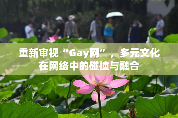 重新审视“Gay网”，多元文化在网络中的碰撞与融合