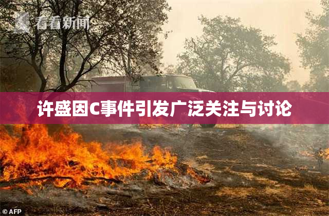 许盛因C事件引发广泛关注与讨论