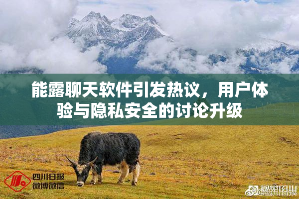能露聊天软件引发热议，用户体验与隐私安全的讨论升级