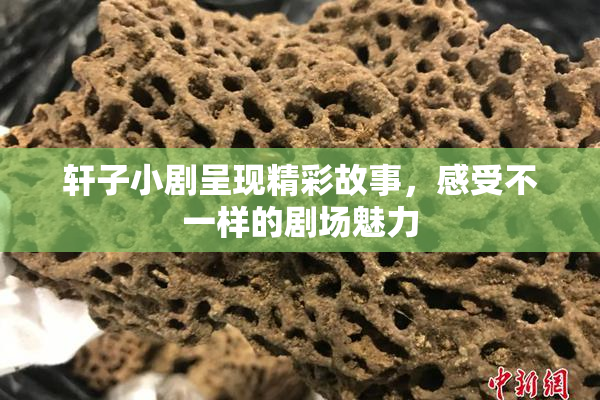 轩子小剧呈现精彩故事，感受不一样的剧场魅力