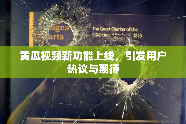 黄瓜视频新功能上线，引发用户热议与期待