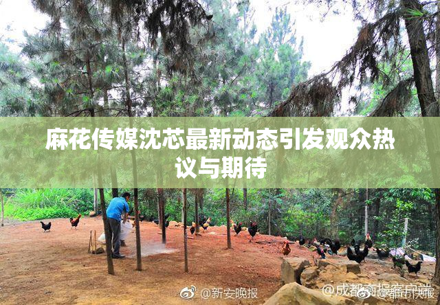 麻花传媒沈芯最新动态引发观众热议与期待