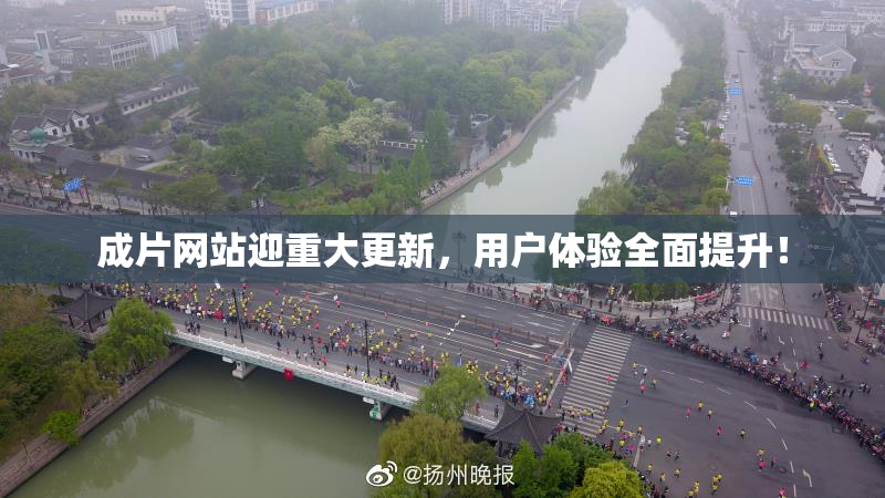 成片网站迎重大更新，用户体验全面提升！