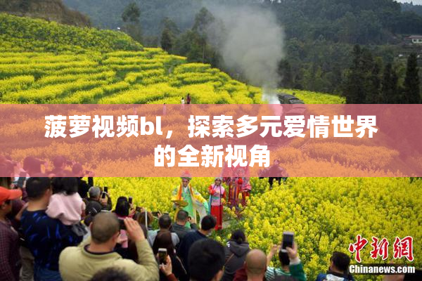 菠萝视频bl，探索多元爱情世界的全新视角
