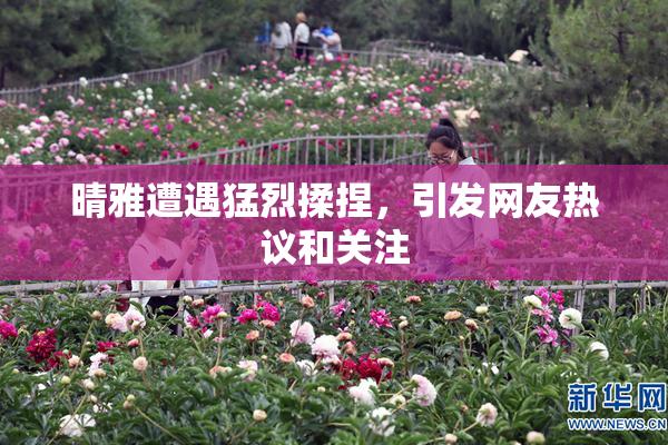 晴雅遭遇猛烈揉捏，引发网友热议和关注