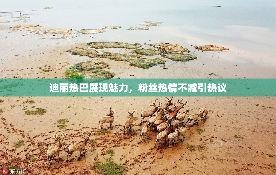 迪丽热巴展现魅力，粉丝热情不减引热议