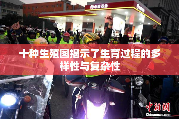 十种生殖图揭示了生育过程的多样性与复杂性