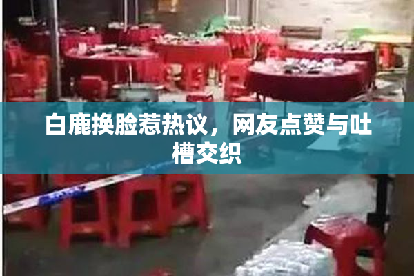 白鹿换脸惹热议，网友点赞与吐槽交织