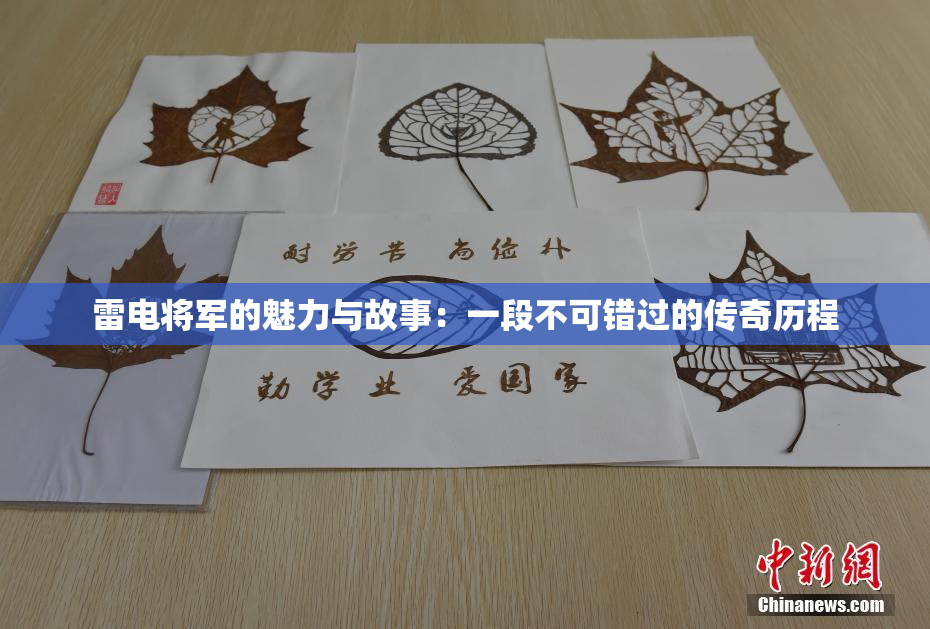 雷电将军的魅力与故事：一段不可错过的传奇历程