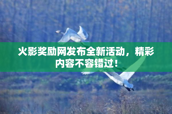 火影奖励网发布全新活动，精彩内容不容错过！