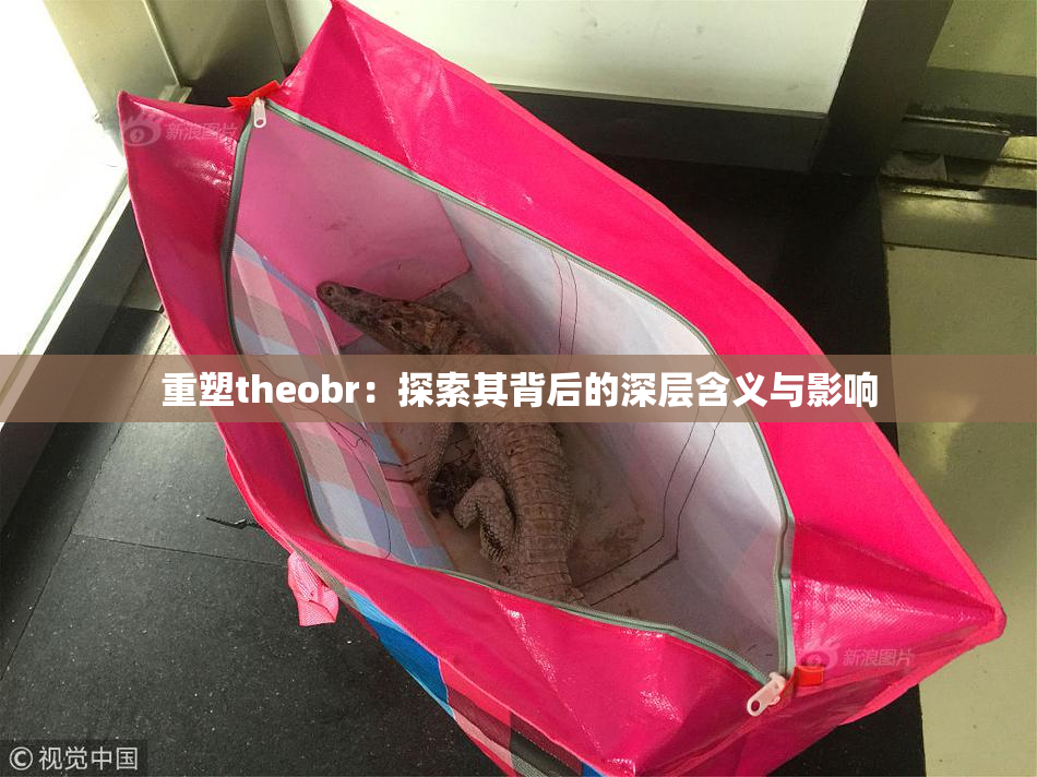 重塑theobr：探索其背后的深层含义与影响