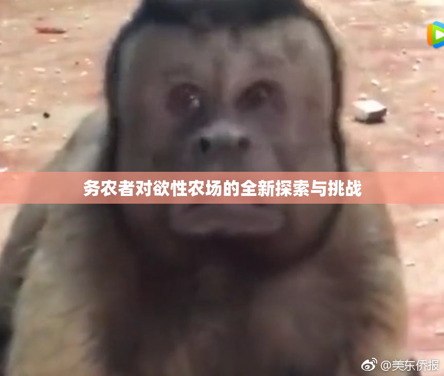 务农者对欲性农场的全新探索与挑战