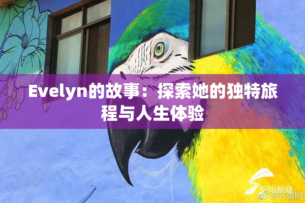 Evelyn的故事：探索她的独特旅程与人生体验
