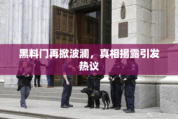 黑料门再掀波澜，真相揭露引发热议