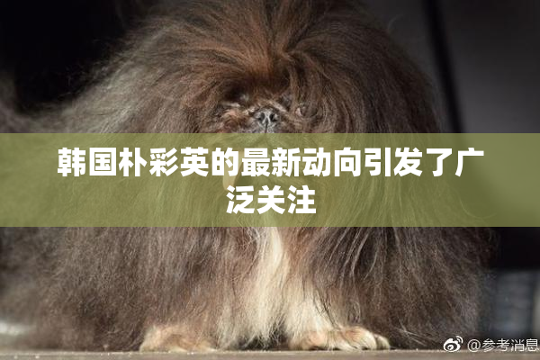 韩国朴彩英的最新动向引发了广泛关注