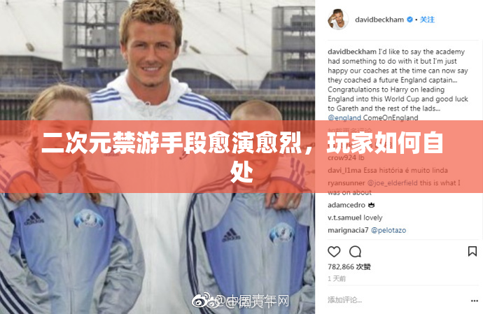 二次元禁游手段愈演愈烈，玩家如何自处